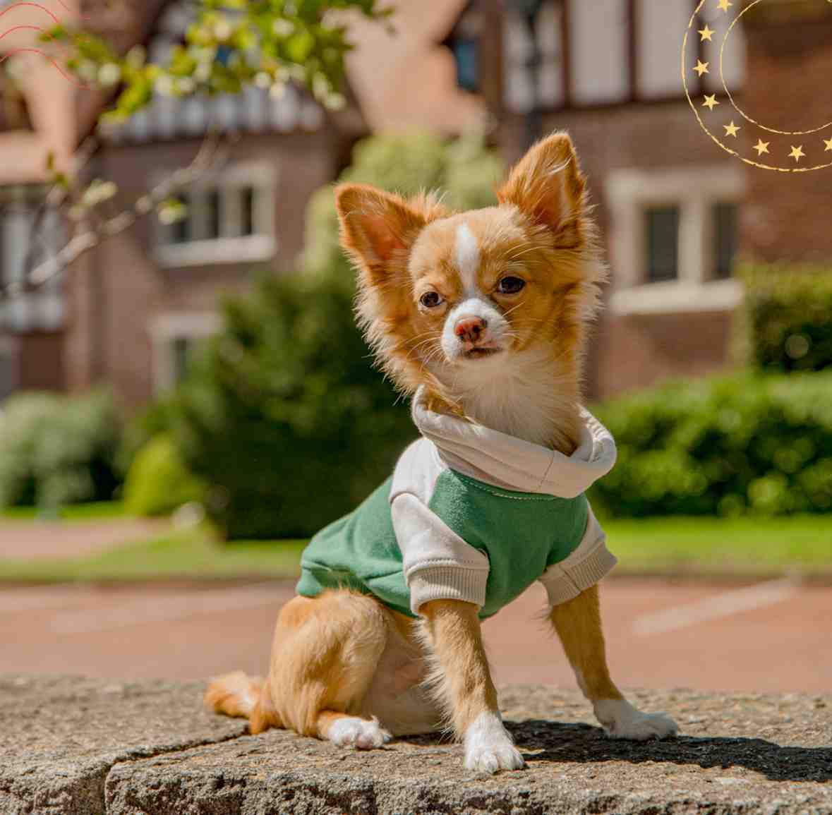 BUZO 372 GOLF TALLE 5 